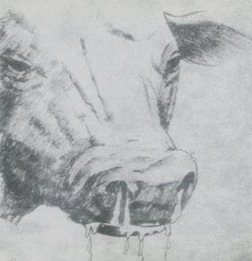 ?ap Hastal???na Yakalanm?? S???rdaki A??z Ak?nt?s?